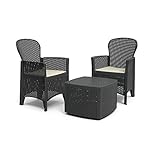 Ipae-Progarden Set Tree Antracite C/Cuscini