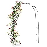 BAKAJI Arco Da Giardino Supporto Per Rose Piante Rampicanti In Metallo 140 x 35 x 240H Colore Verde...