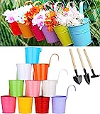 Zodight 10 Vasi Portafiori Pensili, Vasi di Fiori in Metallo, 10 Colori Vasi da Appendere, con Foro...